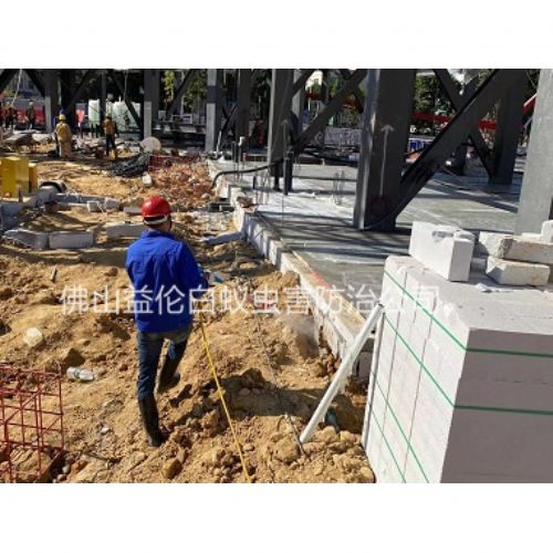 西樵新建白蚁预防
